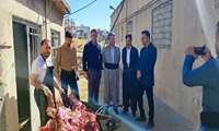 بازدید مشترک ادارات ذیربط از کشتارگاه دام شهرستان سردشت
