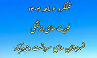 گزارش عملکرد واحد فوریتهای پزشکی شهرستانهای سردشت و میرآباد در شش ماهه اول ۱۴۰۴