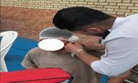 پوشش کامل مسابقات کشتی یادواره شهدای هفتم تیر، توسط اورژانس پیش‌بیمارستانی سردشت