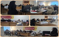 برگزاری جلسه هماهنگی برنامه‌های سفیران سلامت در سردشت