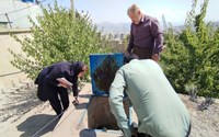 بازرسی مشترک منابع آب شرب سردشت با هدف ارتقای ایمنی و بهداشت